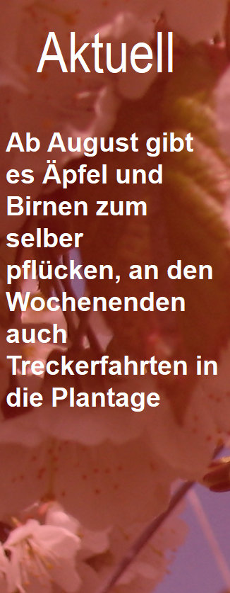obsthof_schroeder001.jpg