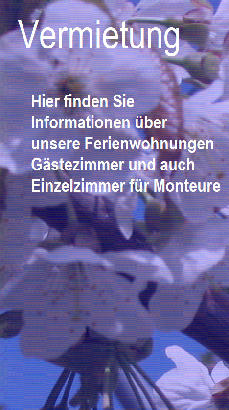 obsthof_schroeder002.jpg