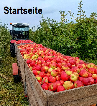 obsthof_schroeder017.jpg