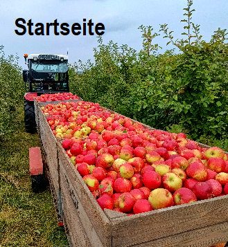 obsthof_schroeder033.jpg