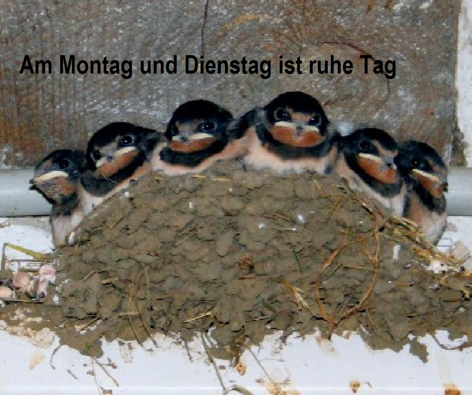 obsthof_schroeder035.jpg