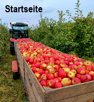 obsthof_schroeder039.jpg